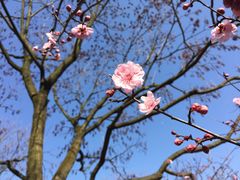 -白塘生态植物园