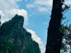 -刘伯温故里景区百丈漈