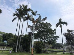 -金砂公园