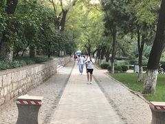 -山东大学(趵突泉校区)