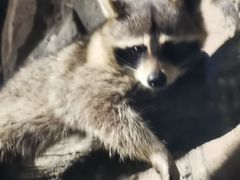 -波塞冬旅游度假区