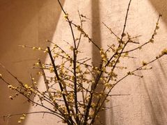 大堂-解放碑威斯汀酒店-知味国际美食餐厅