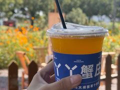 -丫丫蟹庄·苏式园林农家乐·阳澄湖大闸蟹(阳澄湖莲花岛店)