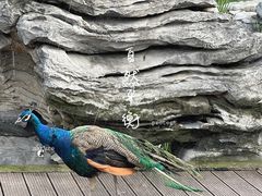 -扬州瘦西湖温泉