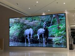 -杭州市萧山图书馆