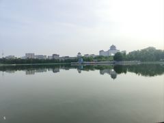 -莲花池公园