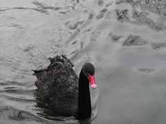-水磨沟公园