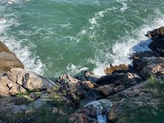 -广东惠东海龟国家级自然保护区