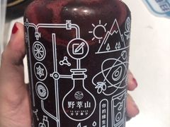 -野萃山·潮汕厚果汁(十亩地店)