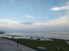 -合肥滨湖国家森林公园