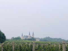 -北京张裕爱斐堡酒庄