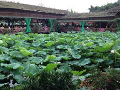 iphone_upload_pic-荷香居(洞企石路店)