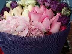 -胡姬港湾幼儿园(龙华丰谷园)