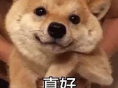 -麦当劳(东直门外大街店)