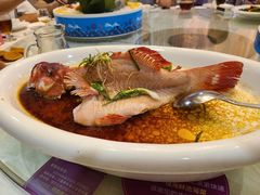 -聚豪美食(平地店)