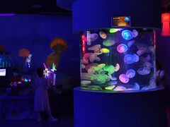 -太平洋海底世界