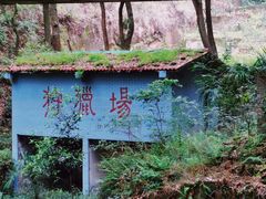 -南山植物园