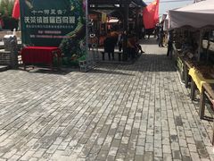 -茯茶镇