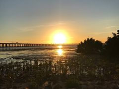 -宝安西湾红树林湿地公园