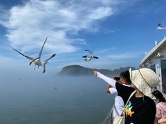 -海驴岛(荣成市)