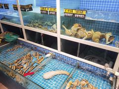 水产区-金龙·打边炉(南京西路店)