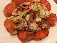 -渔公码头·九龙湾国际饭店
