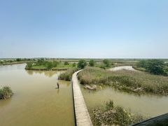 -盐城丹顶鹤湿地生态旅游区