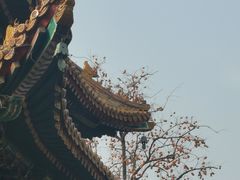 -雍和宫
