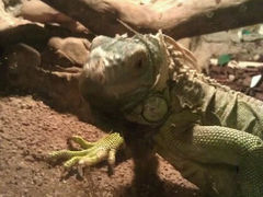 android_upload_pic-上海大自然野生昆虫馆
