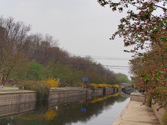 -元大都城垣遗址公园