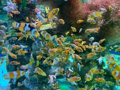 -海合安成都极地海洋公园