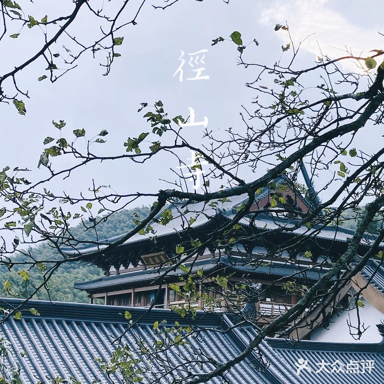 杭州周边游｜海拔520米的径山寺🍃十分幽静