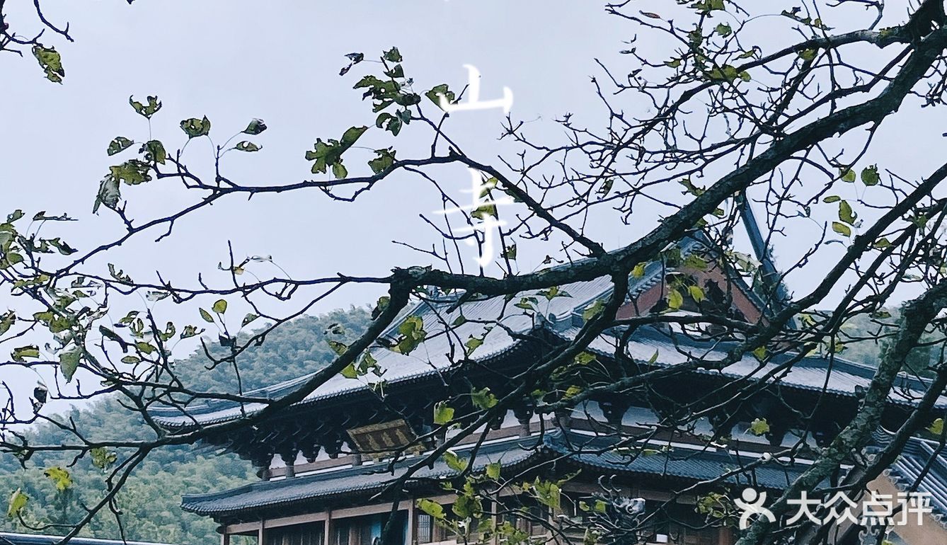杭州周边游｜海拔520米的径山寺🍃十分幽静