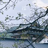 杭州周边游｜海拔520米的径山寺🍃十分幽静