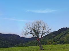 -硗碛藏寨·神木垒景区