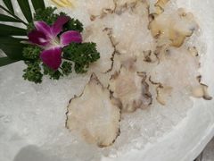 海螺-纯味斑鱼府(中海环宇荟店)