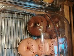 -乡田小墅(展览馆路JK FUN商城店)