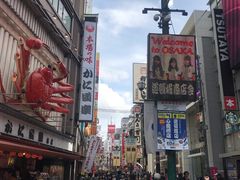 -蟹道乐(道顿堀本店)