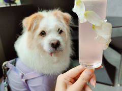 -叁 Three· bistro餐酒馆