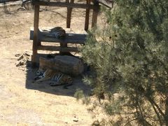 -石家庄市动物园