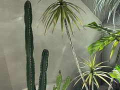 -3号仓库·创意中国菜(乐清正大广场店)