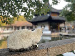 -西园戒幢律寺