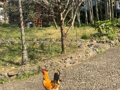 -木子山庄·安徽省老字号·中国炖锅宴