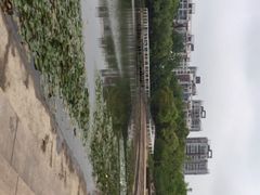 -新江湾城公园