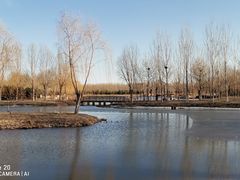 -东郊湿地公园