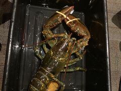 -鱼乐轩海鲜专门店