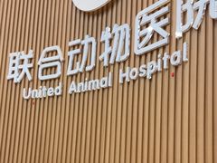 -联合动物医院(光谷诊疗中心)
