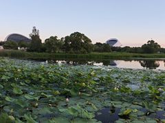 -哈尔滨大剧院