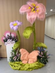 -上海伊莱美医疗美容医院