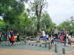 -八仙山公园
